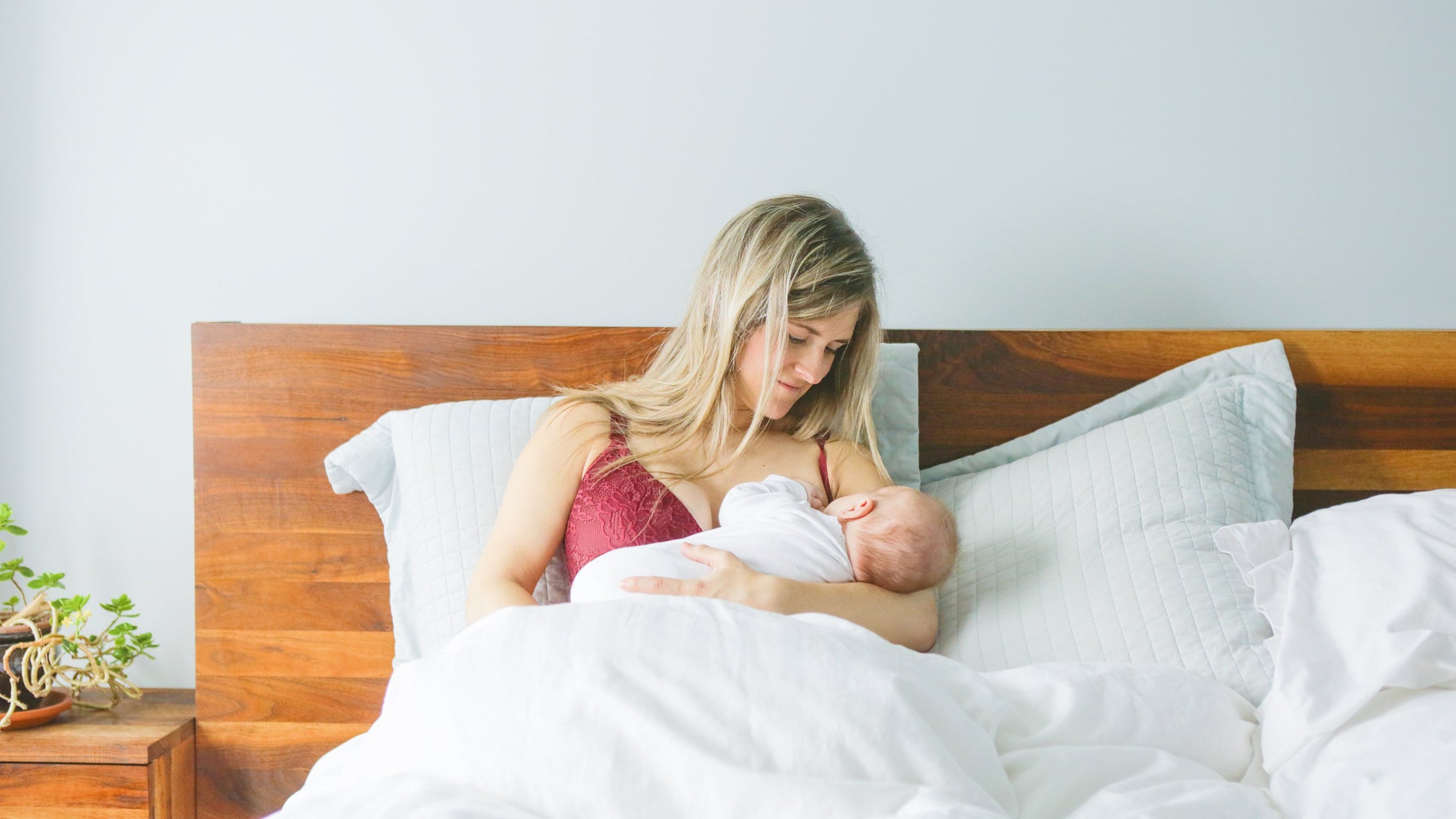Beautiful Nursing Bras by Momzelle